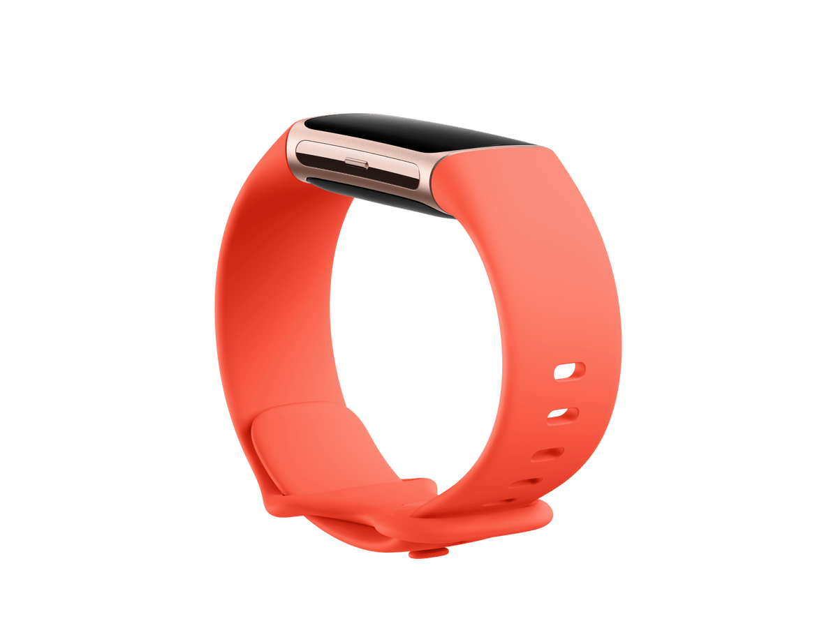 Fitbit Charge 6